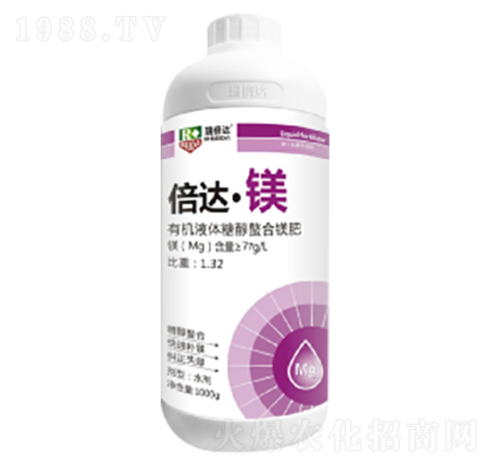 1000g���_���V-���_