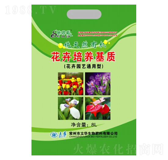 �������B(y��ng)���|-���A����