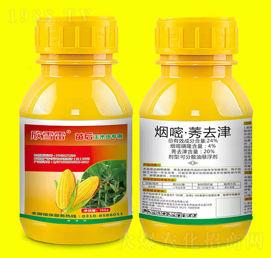 ����������ó��݄�-��ѩ��