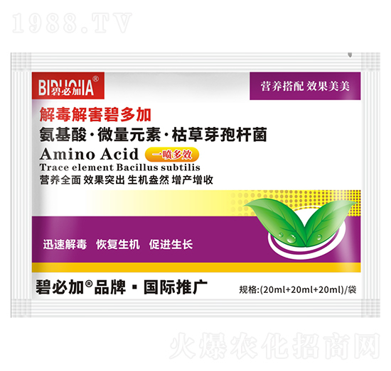 �ⶾ�⺦�̶��-�κ�����