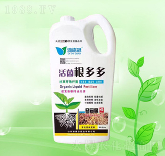 ��������-�G�����ʘI(y��)