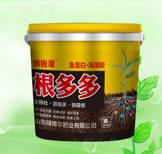 �����-�G�����ʘI(y��)