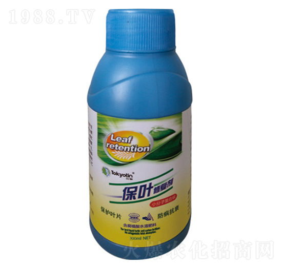 ���~�ޏ�(f��)��-�����r(n��ng)�I(y��)