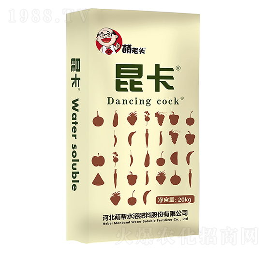 ����-�Ȏ�