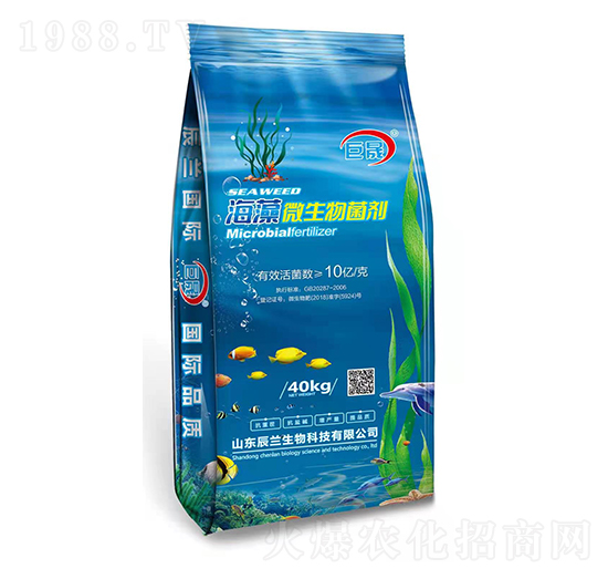 ����΢�������-����-���m����