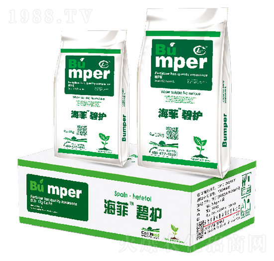 ���Ʊ��o-�W������