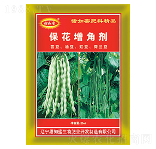 �������Ǆ�-������