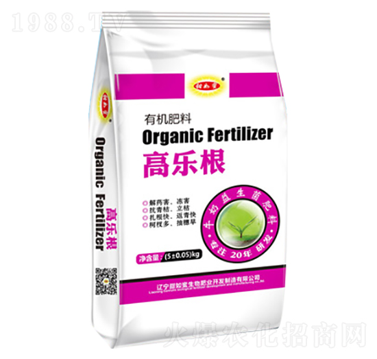 �ߘ����ЙC(j��)����-������