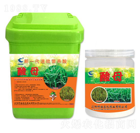 ��һ����Ч�I�B(y��ng)��-��ĸ-�����r(n��ng)��