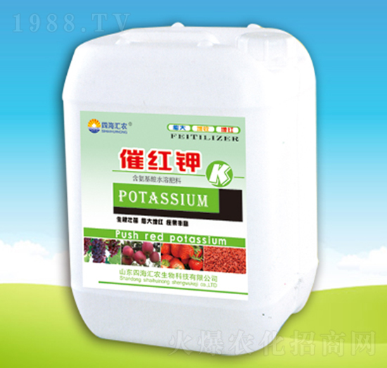 �߼t�-�ĺ��R�r(n��ng)