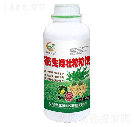 �������������-������(y��u)��