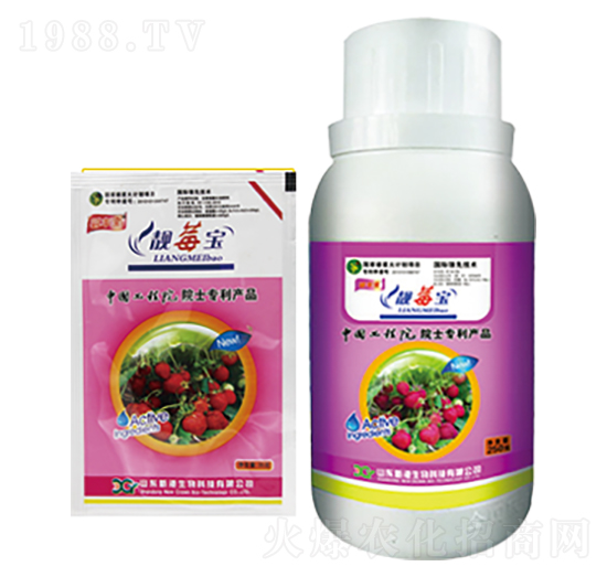 ��ݮ�����nݮ��-�¸�����