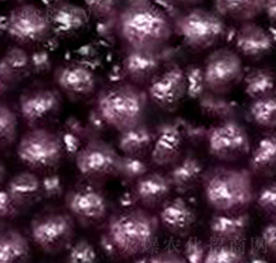 ��(sh��)֬�ЙC(j��)��-�����S