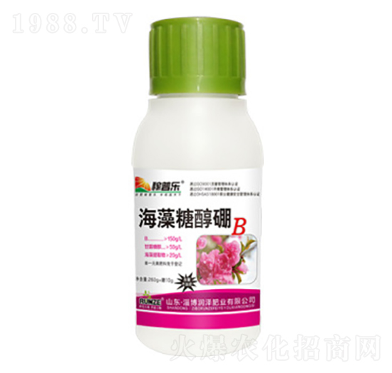 �����Ǵ���-���՘�-��(r��n)�ɷʘI(y��)