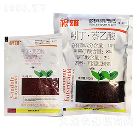 �����Ŷ���������-�G��