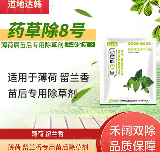 �������m����݄�-�������m�����-�������m�㌣��-ˎ�ݳ�8̖(h��o)-���n