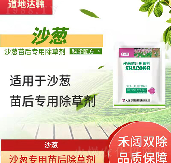 ɳ�[���݄�-ɳ�[���-ɳ�[����-���n