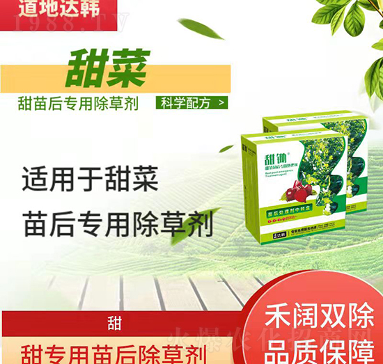 ��˳��݄�-������-��ˌ�(zhu��n)��-���n