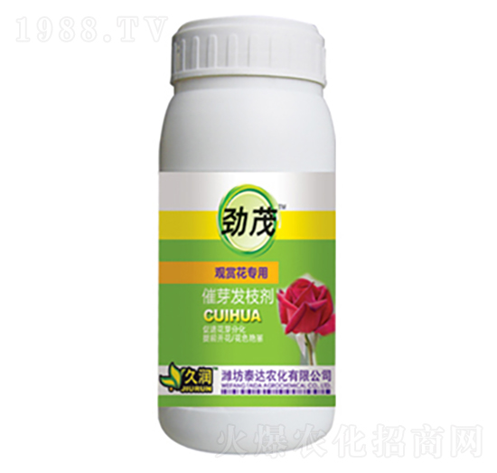 �^�p������-��ѿ�l(f��)֦��-̩�_�r(n��ng)��