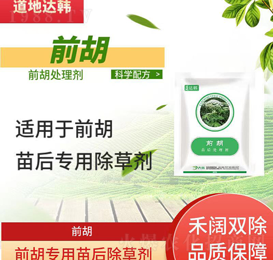 ǰ�����݄�-ǰ�����-ǰ������-���n