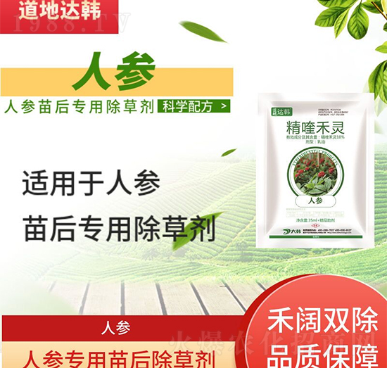 �˅����݄�-�˅����-�˅�����-���n