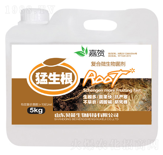 �ͺ�΢�������-������-ؐ������