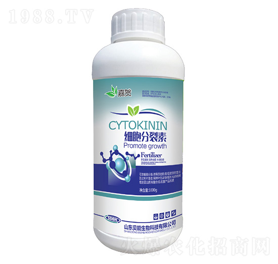 ����������-ؐ������