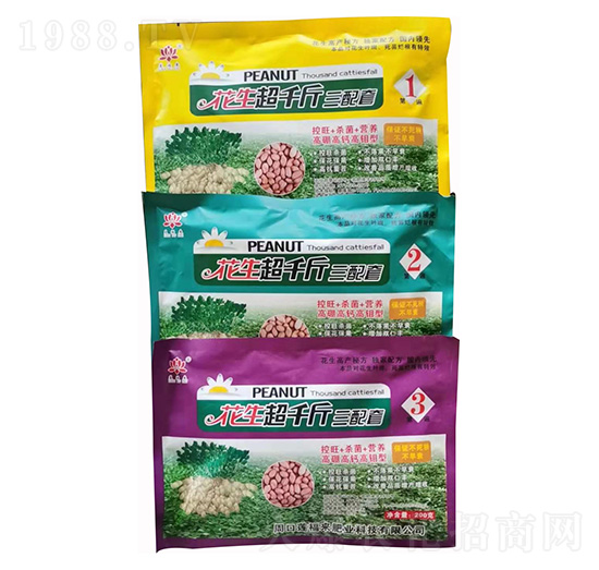 ������ǧ�������� ɏ����(l��i)