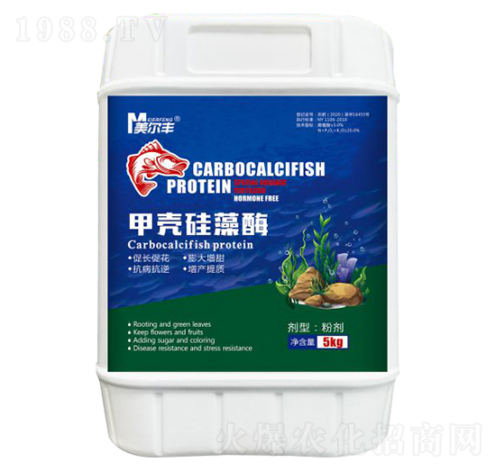 �ך�����ø-�����S-���Π�