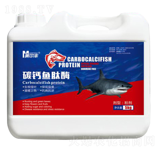 ̼�}�~��ø-�����S-���Π�