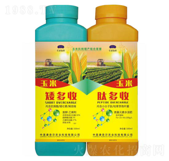 ���׿������a(ch��n)�ײ�-�����S-���Π�