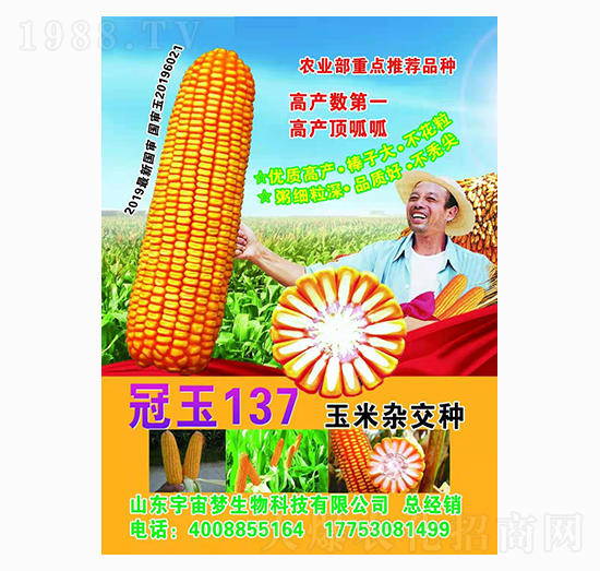 �����s���N ����137 �����(m��ng)����