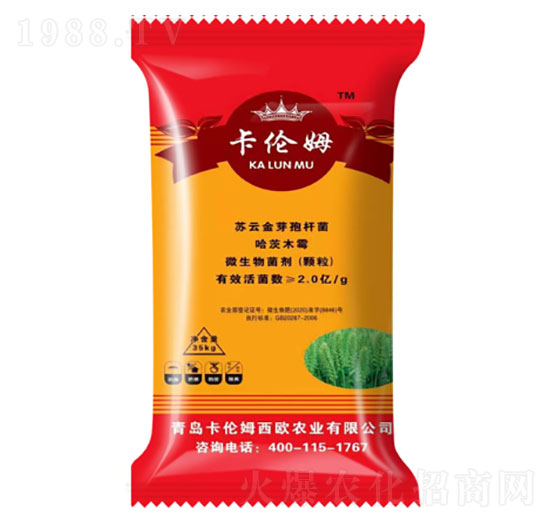 ��ʮ��С���������طN��-����ķ