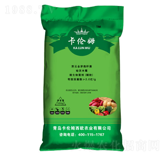 �����طN��-����ķ