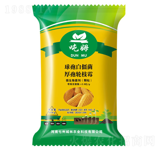 �����طN��-��ķ