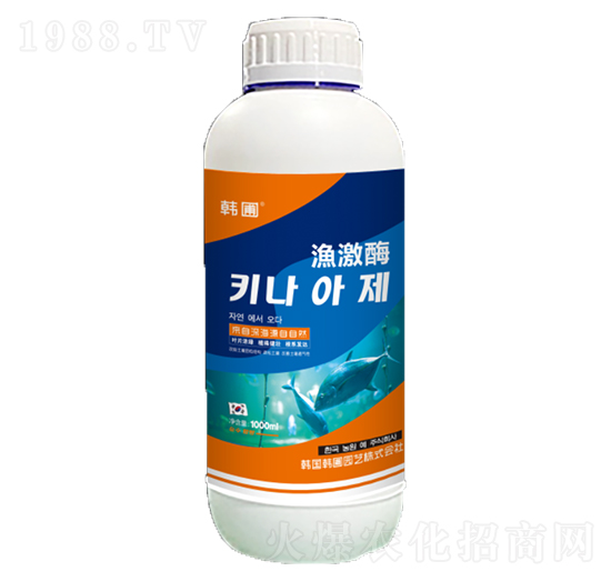 �O��ø-�n�ԣ��{(l��n)ƿ��-����