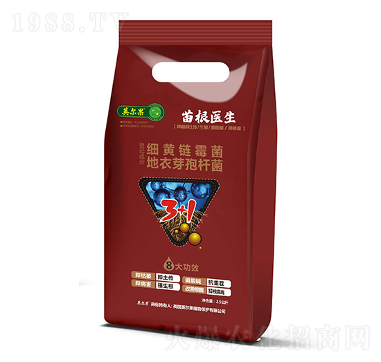 ����t(y��)��-Ӣ����