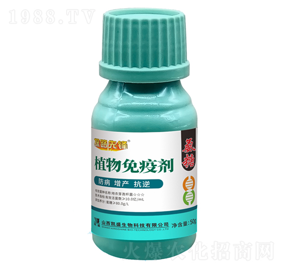 ���ǡ�ֲ�����߄�-̽·���h-�Pʢ�ʘI(y��)