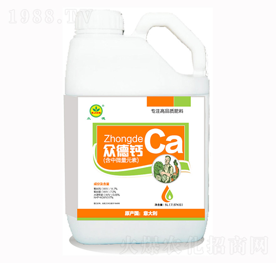 �����}-����