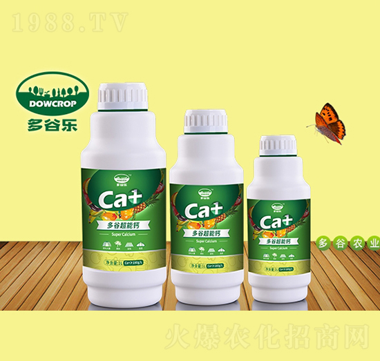 �����}-��Ș�