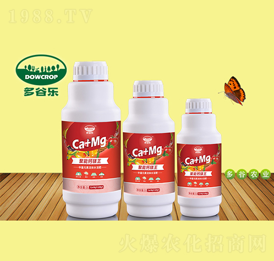 �����}�V��-��Ș�(l��)