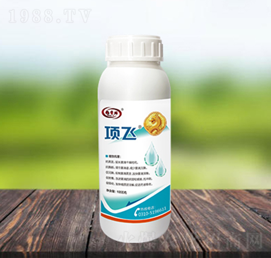 �w��������Ч��-��w-������