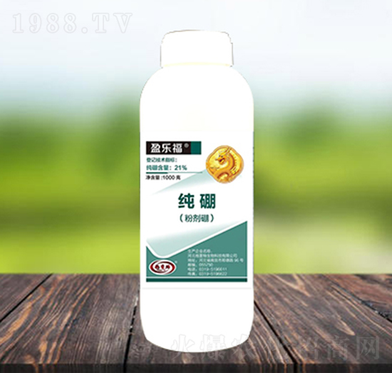 �ۄ���-ӯ����-������