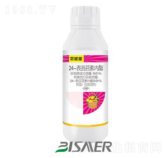 24���|̦�؃���-�|����-��ِ��