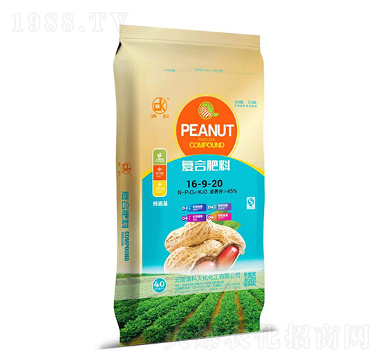 �ͺϷ���16-9-20-���