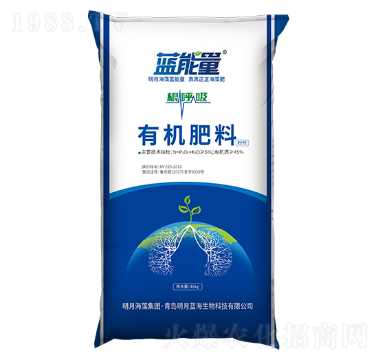 �ЙC����-������-�{����