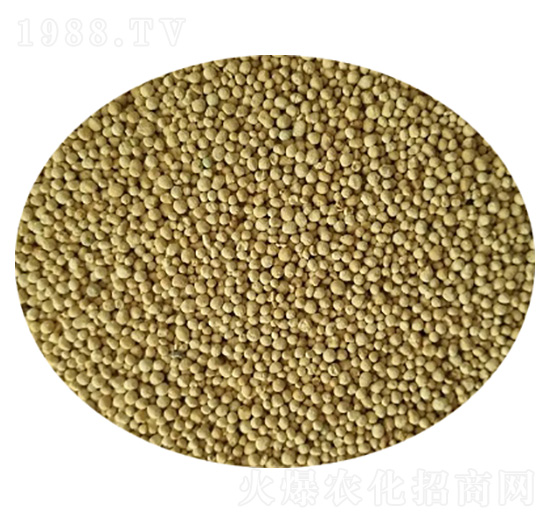 ȫ�I�B(y��ng)����ጷ�-�����Ƽ�