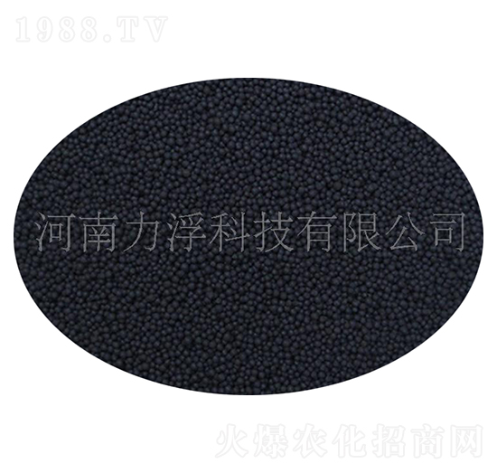 �o�C�����-�����Ƽ�