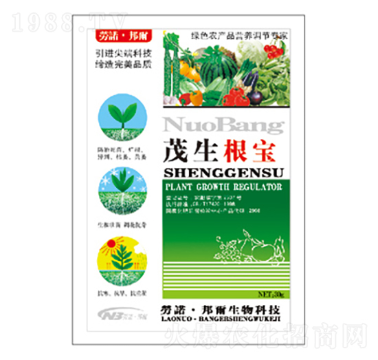 ï������-������