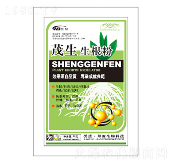 ï��������-������